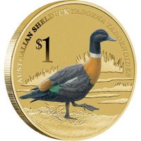 Австралийская пеганка (утка)- Тувалу, 1 доллар, 2013 год 
