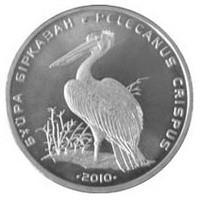 Кудрявый пеликан - Красная книга РК