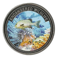 Endangered wildlife - Медный морской окунь
